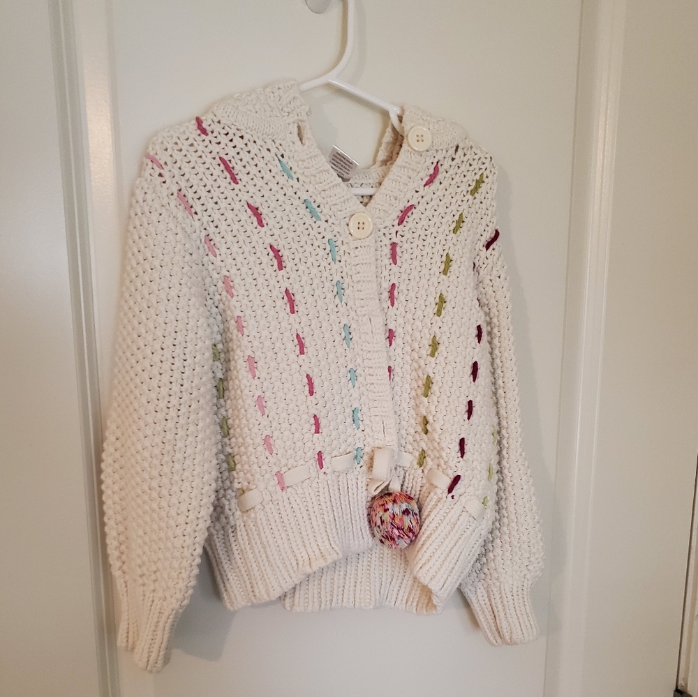 Hooded Gymboree Sweater